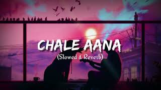 Chale Aana (slowed & Reverb) | Lofi song | lofi diary