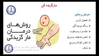 پروتیز دندان /سمستر2/کمک های اولیه/جلسه3/خونریزی ها