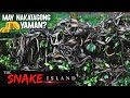 ANG NAKATAGONG YAMAN SA SNAKE ISLAND | Jeffrey Mampusti