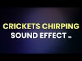 Crickets Chirping Sound Effect 03 - Best atmosphere - Summer, Germany, Suburbia - Testventure