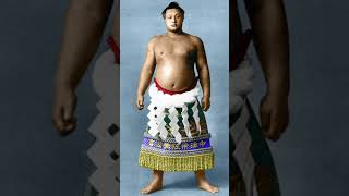 Random Facts and list of importants Yokozuna