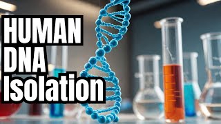 DNA ISOLATION FROM HUMAN BLOOD