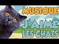 YOUTUNES - J'AIME LES CHATS (MUSIQUE)