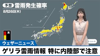 ゲリラ雷雨情報 内陸部では急な雨や雷に注意