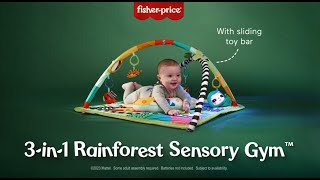 3-in-1 Rainforest Sensory Gym™