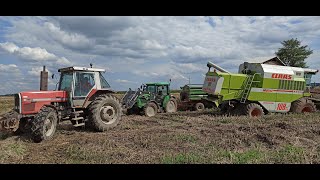 WTOPA SEZONU 2021! UTOPIONY KOMBAJN, TRAKTOR I PRZYCZEPA! CLAAS DOMINATOR 108SL MAXI MF 3610 DF5110C