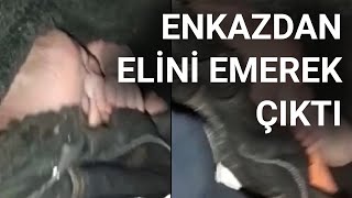 @NTV  48 saat sonra kurtarılan 2 aylık bebek enkazdan elini emerek çıktı