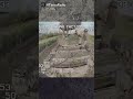 drones wipe out unsuspecting russian tanks ukrainewar dronefootage