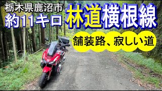 【林道横根線】舗装林道(栃木県鹿沼市)で林道前日光線の合流地点まで約11キロの寂しい山道ツーリング riding on ADV150