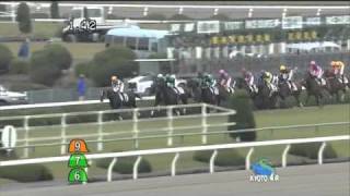 2010年10月31日 京都4R 障害オープン タマモグレアー