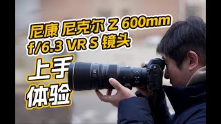 輕量化“拍鳥”神器 尼克爾Z 600mm f/6.3 VR S 鏡頭體驗 轻量化“拍鸟”神器 尼克尔Z 600mm f/6.3 VR S 镜头体验