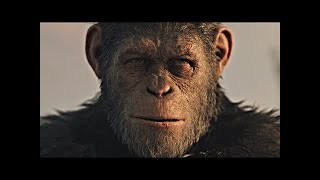 Caesar's Death - Ending Scene | War for the Planet of the Apes (2017)#LOWI