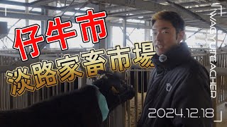 【淡路家畜市場】1頭まさかの3桁万円！？