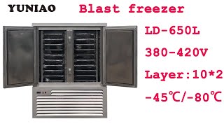 650L Blast freezer Fast Freezer Blast Freezing Machine Blast Freezer For Sale 10*2 Pans