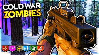 I AM NOT READY FOR THIS!!! | Call Of Duty Black Ops Cold War Zombies Outbreak Easter Egg Solo + More
