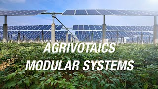 Agrivoltaic Modular System