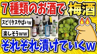 【2ch面白いスレ】色んなお酒で梅酒を漬けていくでｗｗｗｗ【グルメ料理】