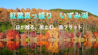 紅葉真っ盛り　いずみ湖　日が陰る、風止む、面フラット