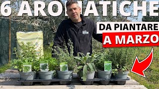 6 Piante Aromatiche da piantare nell'orto o sul balcone a  👉 MARZO