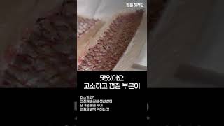 내가 먹은 회가 참돔이 맞나?