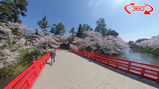 【360度動画】弘前公園の桜2021 4月22日号