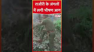 जम्मू कश्मीर के जंगलों में लगी आग, बड़े पैमाने पर नुकसान #viral #viralvideo #shorts #ytshorts