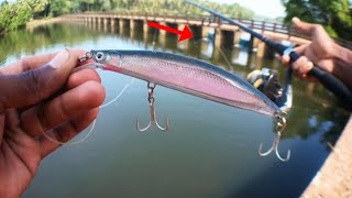 Fishing with Lucana kato 130 hard lure | fish catch or not? | Barramundi fishing | Angler On Board |