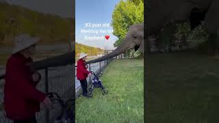 Hayatında ilk defa 🐘 gören 93 yaşındaki kadın 🥺#shorts #youtube #animals #keşfet #stream