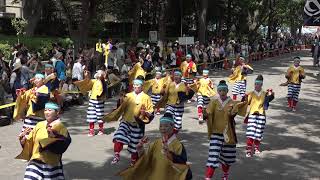 万々商店街　万々歳　原宿表参道元気祭　スーパーよさこい2017　NHK前ストリート　４K　2017 8 27