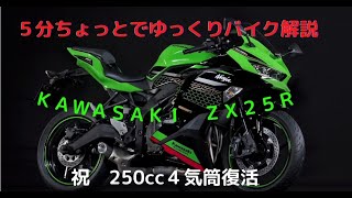 【ゆっくり解説】５分ちょっとでゆっくりバイク解説　KAWASAKI ZX25R