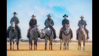 Weaning Colts and Gathering Mares at the RA Brown Ranch