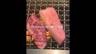 【大阪グルメ】おひとりさま特化の黒毛和牛焼肉ランチに行ってきました（梅田・ひとりカルビ1965）