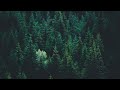 METAHESH - Shattered Dreams