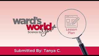 Enriching Case Studies with Hands-On Lab: Blood Typing