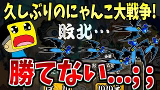 【悲報】久しぶりのにゃんこ大戦争!!新ステージ『行楽地デラ・コスパ』に挑戦したら勝てな過ぎて絶望...;;-#にゃんこ大戦争【行楽地デラ・コスパ】