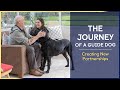 Creating New Partnerships | Episode 7 | The Journey of a Guide Dog