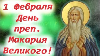 Потрясающее слово 1 Февраля в День преп Макария Великого День Ангела 1 февраля 2025 года