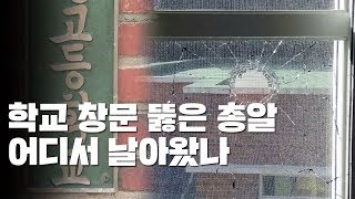 [단독] 학교로 '탕탕'...멧돼지 잡다가 학생 잡을 뻔 / YTN