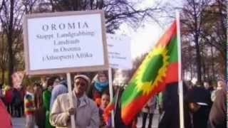 Oromo Music - Nuho Gobana - Isin Waamti Harmeen