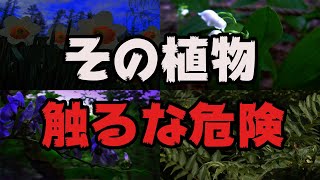 【ゆっくり解説】絶対に触ってはいけない身近にある危険植物5選