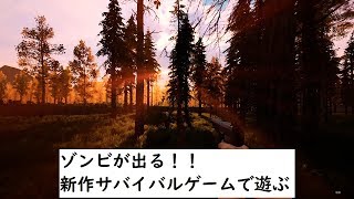 【MIST SURVIVAL】新作のサバイバルゲームをほぼ初見プレイ【ミストサバイバル】