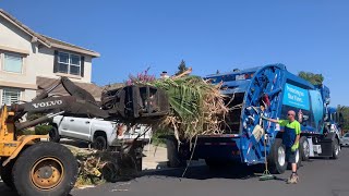 Bulky Waste | With Tink Claw!!
