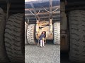 giant truck repair!!!