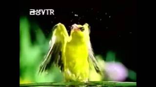 금성VTR 수퍼메리트자연1990's GOLDSTAR VTR commercial