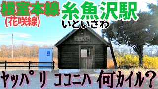 【2022年3月12日廃止】根室本線 糸魚沢駅【現地調査】