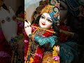 भक्ति करेगा तो बड़ा सुख पायेगा kirsna bhakti bhajan viralshort