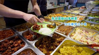 哈尔滨特色自助盒饭，顶配18元选吃三个肉，40多种素菜和米饭任吃