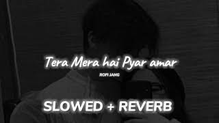 tera Mera hai Pyar amar  slowed + reverb  song by hum tv singer Ahmed jahanzeb