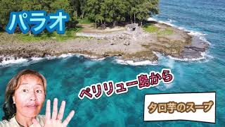 パラオ　ペリリュー島から〜！