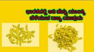 ಭಾರತದಲ್ಲಿ ಅತಿ ಹೆಚ್ಚು ಯಾಲಕ್ಕಿ ಬಳೆಯುವ ರಾಜ್ಯ ಯಾವದೂ #kannada